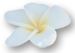 Yoga Awareness ~ The International School of Yoga & Ayurveda
