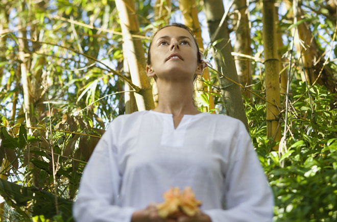 Tokyo Yoga Retreats