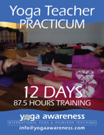 Yoga Teacher Training Practicum Level 1 in Maui, Hawaii