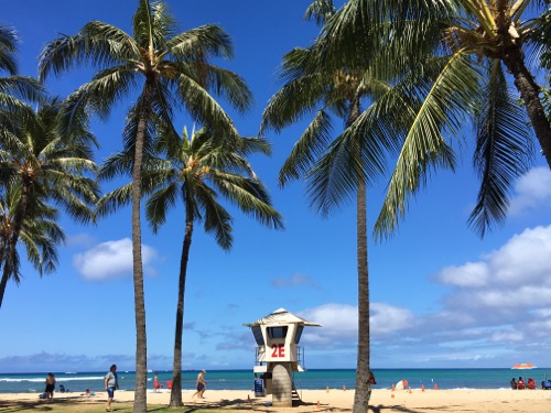 Waikiki beach yoga class sunrise - lifeguard tower 2E