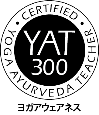 TEACH YAT-300-ja