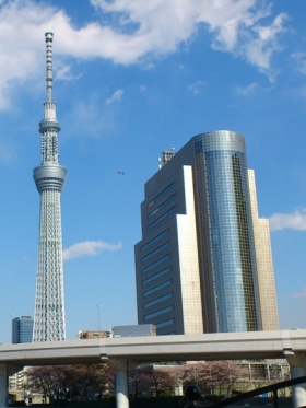 Local information in TOKYO, Japan