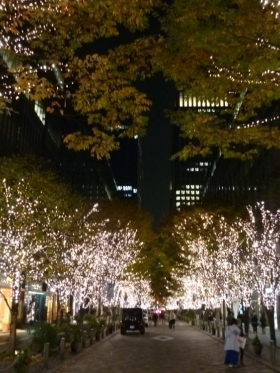 Local information in TOKYO, Japan