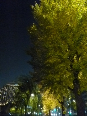 Local information in TOKYO, Japan