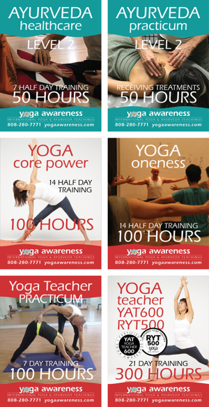 201911 level 2 yoga awareness training w300 1