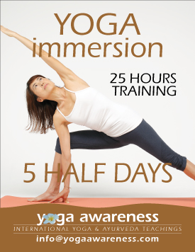Yoga Immersion Training Level 1 in Waikiki, Hawaii or online Zoom
