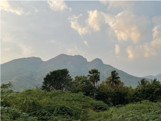 Indian mystical mountains in the National Parks of Tamil Nadu and Kerala