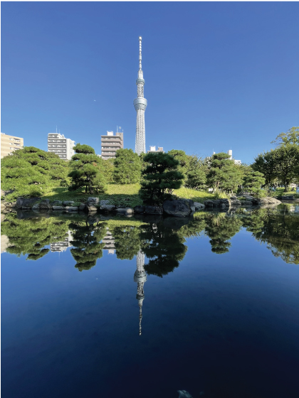 スカイツリーが池に映る晴れの隅田公園