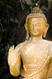 Daily reflection from Viji Vasu, Yoga Raksanam in Chennei, India