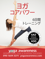 201900 yat400 yoga core power training tokyo w150
